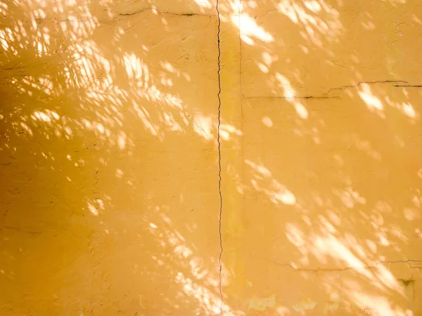 Абстрактний Фон Текстури Тіней Листя Жовтій Бетонній Стіні — стокове фото