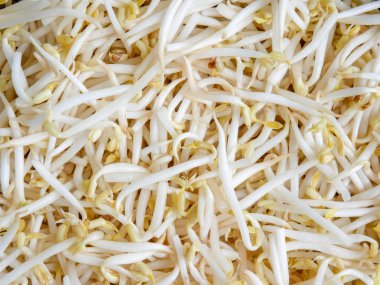 Gıda arka plan doku mung fasulye filiz