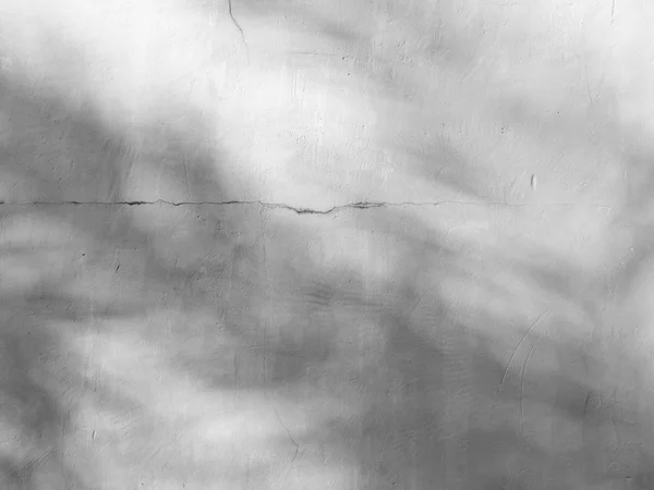 Черно Белый Абстрактный Фон Текстура Тени Лист Бетонной Стене — стоковое фото