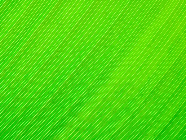 Abstract Green Leaf Texture Background — Stock Photo, Image