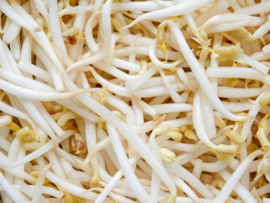 Gıda arka plan doku mung fasulye filiz