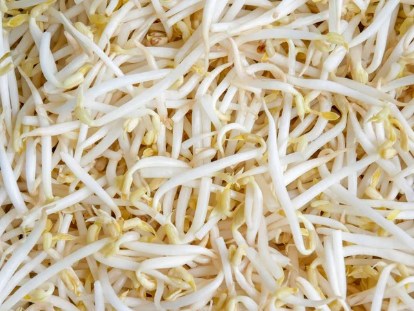 Voedsel Achtergrond Textuur Mung Bean Sprout — Stockfoto