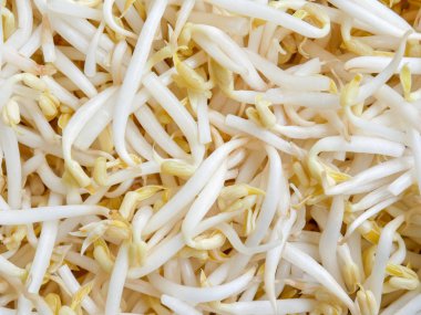 Gıda arka plan doku mung fasulye filiz