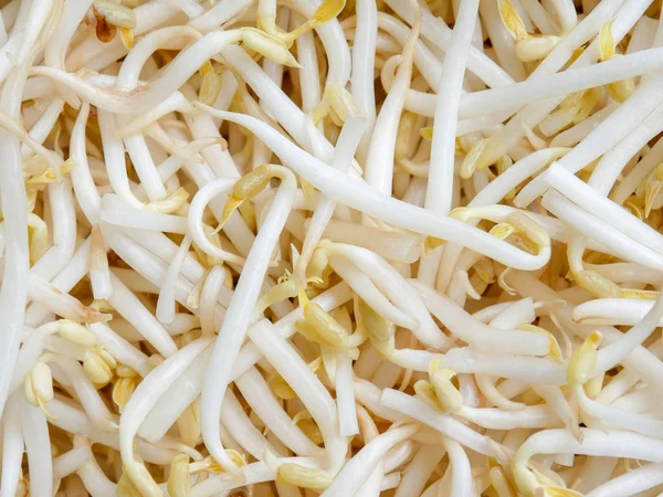 Food Background Texture Mung Bean Sprout — Stock Photo, Image