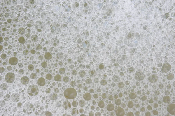 beyaz köpük doku arka plan bakış