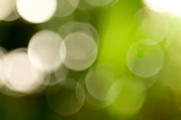 Solig Abstrakt Grön Natur Bakgrund Blur Park Med Bokeh Ljus — Stockfoto