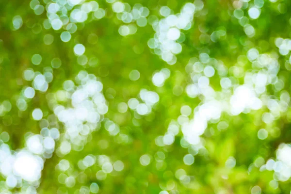 晴れた抽象的な緑の自然背景 ボケ光とぼかし公園 春と夏の季節 — ストック写真