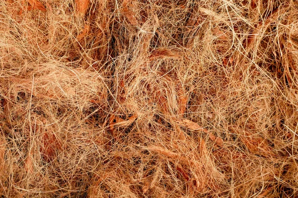ココナッツ繊維の抽象的な背景のテクスチャ — ストック写真