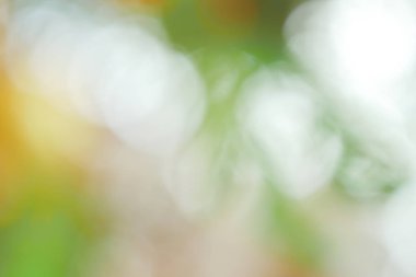 arka plan pastel bokeh pembe renkli sarı mavi