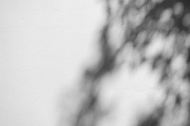 Siyah ve beyaz arka plan textuer gölgeler yaprak beton duvara