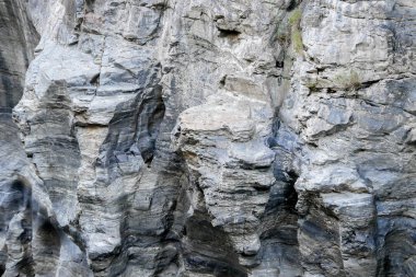 Eski grunge arka plan doku taş duvar