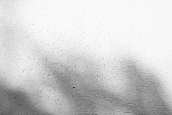 Textuador Fondo Abstracto Blanco Negro Hoja Sombras Una Pared Hormigón — Foto de Stock