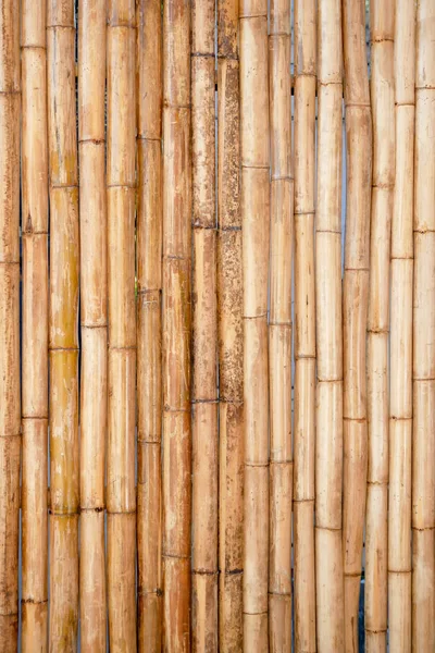 Holz Bambusmatte Textur Abstrakten Hintergrund — Stockfoto