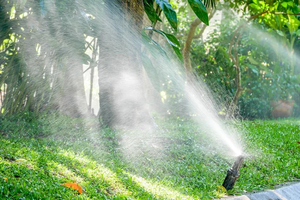 庭のスプリンガー水システム — ストック写真