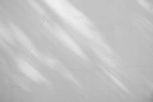 Zwart Wit Abstracte Achtergrond Textuer Van Schaduwen Blad Een Betonnen — Stockfoto