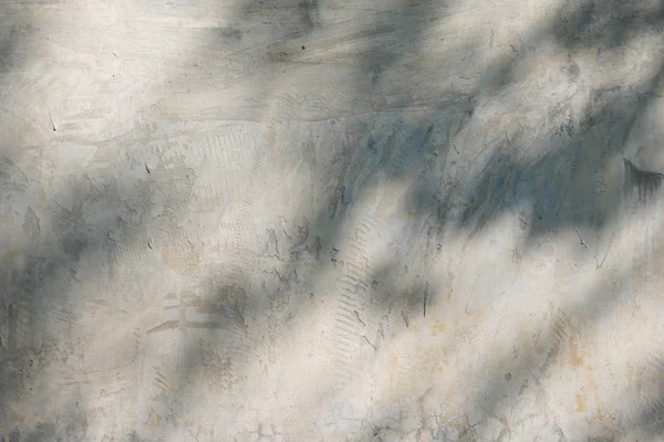 Абстрактний Текстур Тіней Листя Бетонній Стіні — стокове фото