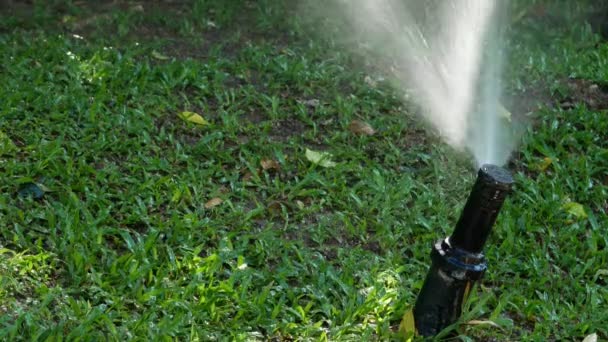 Sistema Agua Springer Jardín — Vídeo de stock