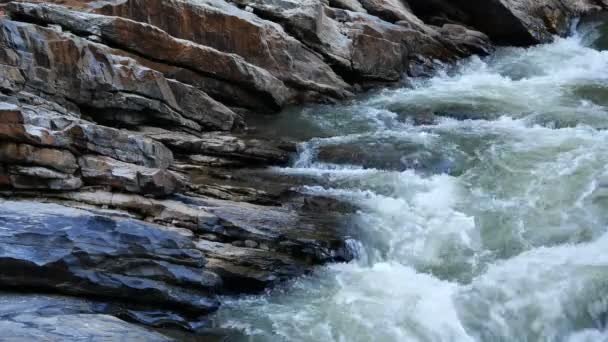 Arroyo Que Fluye Sobre Las Rocas — Vídeos de Stock