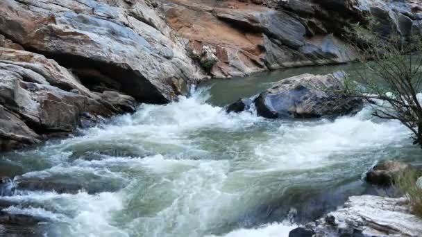 Arroyo Que Fluye Sobre Las Rocas — Vídeos de Stock