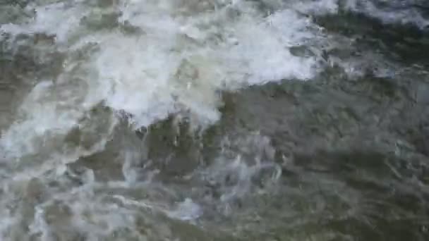 Bach Fließt Über Die Felsen — Stockvideo