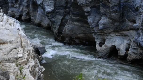Creek Flowing Rocks — Stock Video