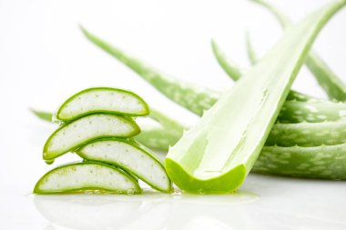 Beyaz arkaplanda Aloe vera dilimi