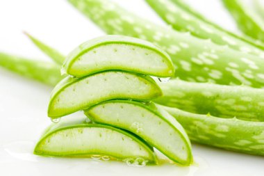 Beyaz arkaplanda Aloe vera dilimi