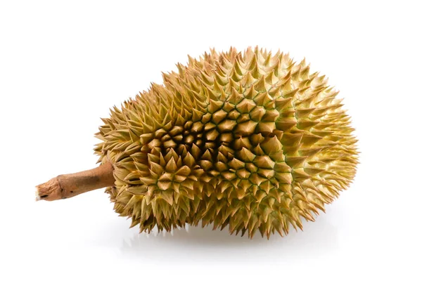 Durian su sfondo bianco thailandia frutta — Foto Stock