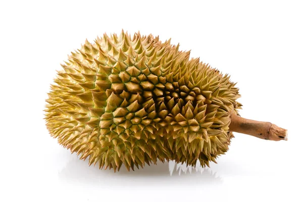 Durian su sfondo bianco thailandia frutta — Foto Stock