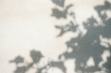 Gölgelerin soyut arka plan dokusu beton üzerinde palmiye yaprakları