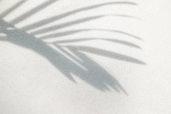 Texture astratta sfondo di ombre foglie di palma su un cemento — Foto Stock