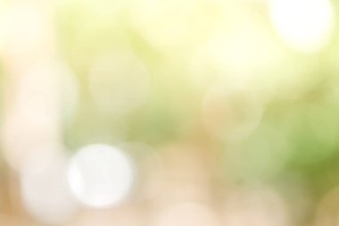 Güneşli Soyut Yeşil Doğa arka plan, bokeh lig ile Blur Park