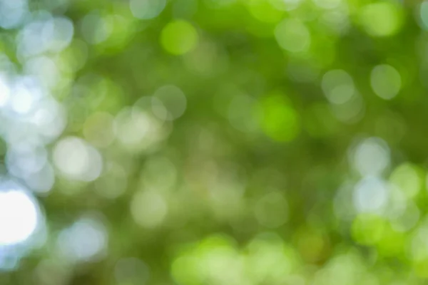 サニー抽象的な緑の自然の背景、ボケリグとぼかし公園 — ストック写真