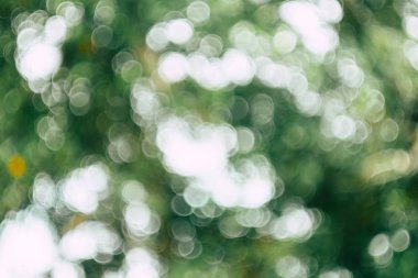 Güneşli Soyut Yeşil Doğa arka plan, bokeh lig ile Blur Park