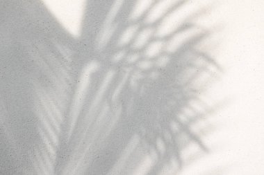 Gölgelerin soyut arka plan dokusu beton üzerinde palmiye yaprakları