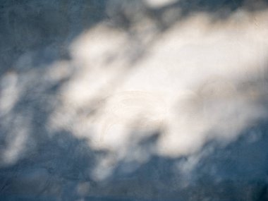 Gölgelerin soyut arka plan dokusu beton bir duvara yaprakları