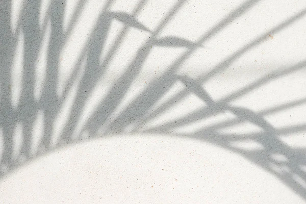 Textura abstracta de fondo de sombras hojas de palma sobre un hormigón — Foto de Stock