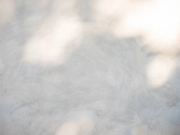 Absztrakt háttér textúrája árnyékok levelek egy betonfal — Stock Fotó