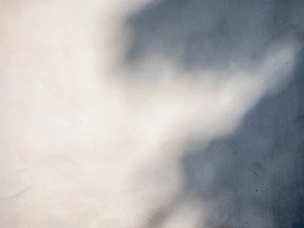 Абстрактний фон текстура листя тіней на бетонній стіні — стокове фото