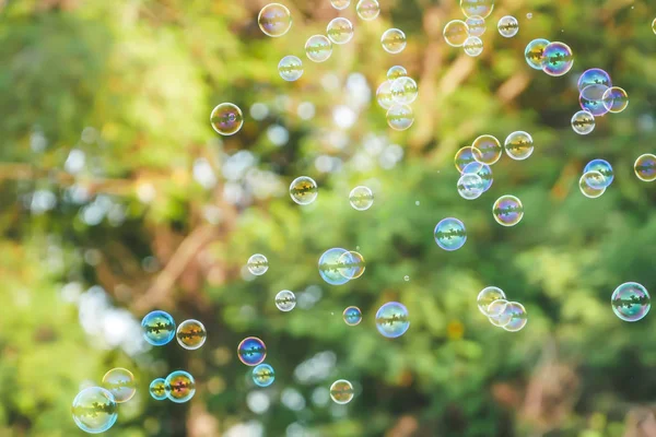 Soap bubbles on green nature background — Stock Photo, Image