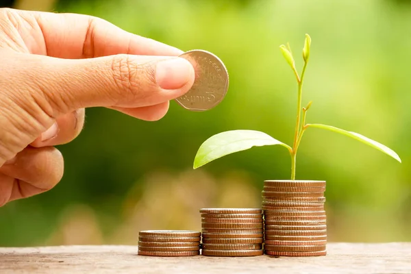 paralar dışarı büyüyen yatırım kavramı bitki için tasarruf