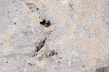 arka plan doku beyaz beton duvar