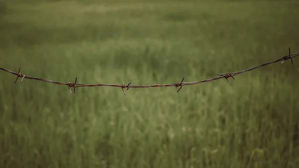 Barbed wire. Barbed wire on fence to feel worrying Concept