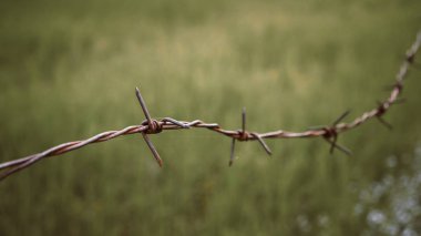 Dikenli tel. Endişe verici Concept hissetmek için çit üzerinde dikenli tel