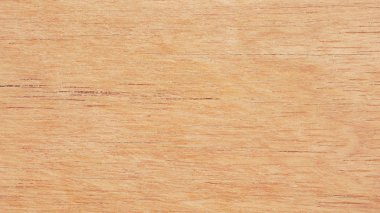 tasarım için grunge ahşap tahta Doku arka plan