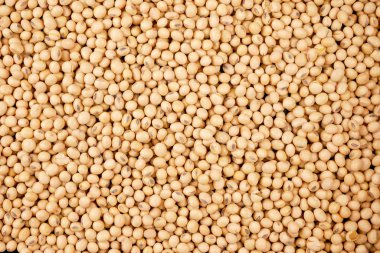 soya fasulyesi arka plan, tohum gıda hammadde, lezzetli yemekler tohum fasulye tarımsal ürün
