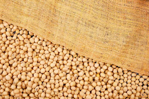 Fundo de soja, sementes alimento matéria-prima, pratos deliciosos semente de feijão produto agrícola — Fotografia de Stock