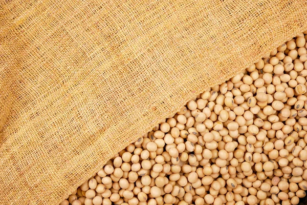 Fundo de soja, sementes alimento matéria-prima, pratos deliciosos semente de feijão produto agrícola — Fotografia de Stock
