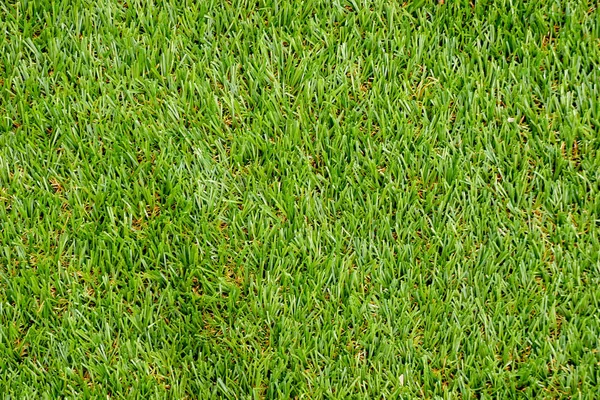 Green plastic grass texture background — Stock Photo, Image