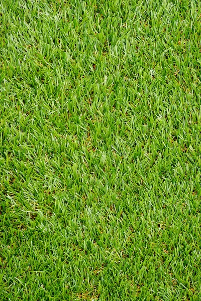 Green plastic grass texture background — Stock Photo, Image
